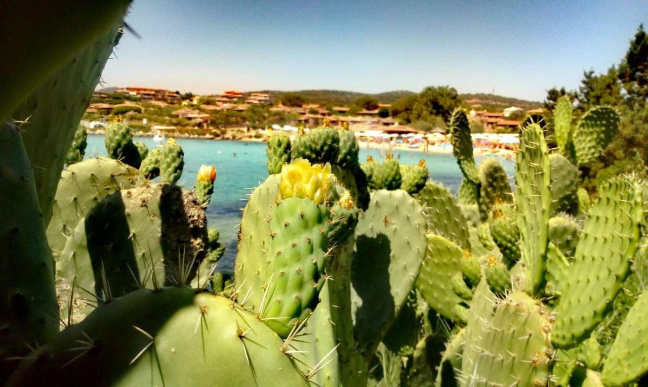 Aparthotel Le Stanze Del Mare Golfo Aranci Zewnętrze zdjęcie